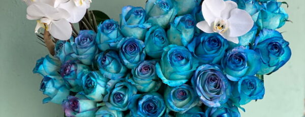 باکس گل رز آبی
