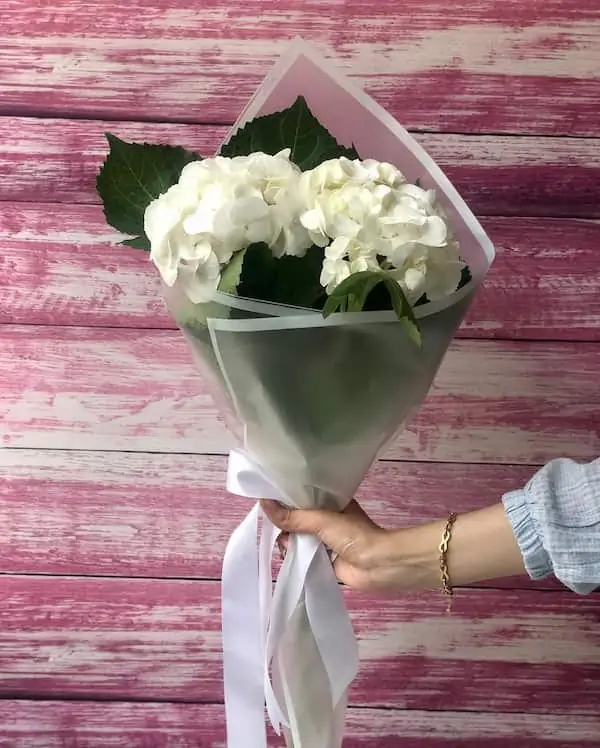 دسته گل هورتانسیا سفید