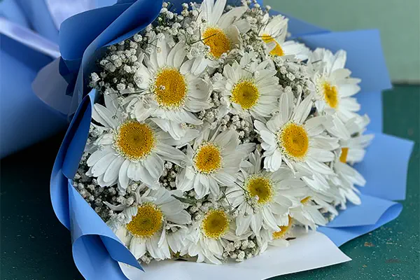 دسته گل مارگریت