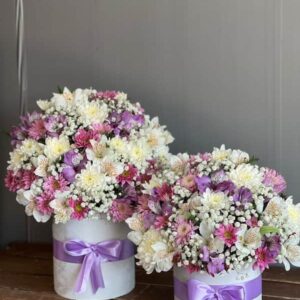 باکس گل آلستر و داوودی