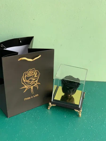 باکس پایه مبلی رز جاودان مشکی