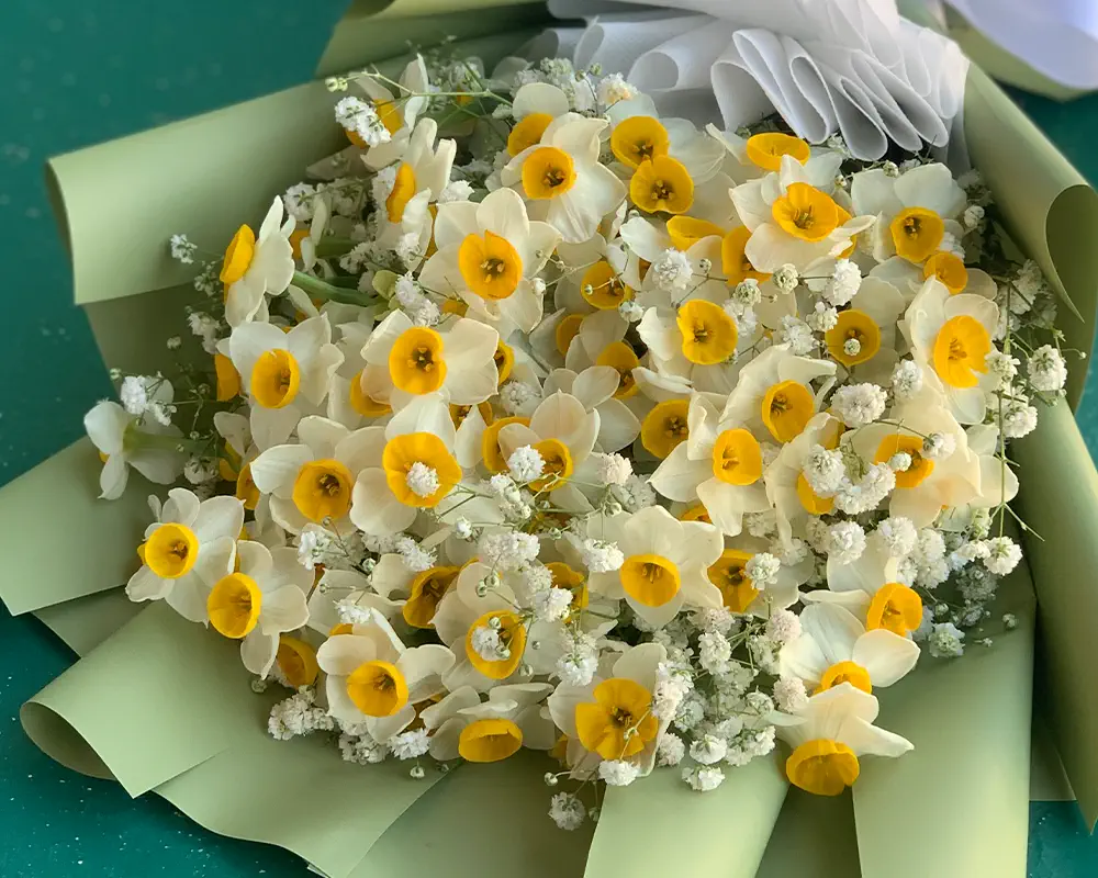 گل نرگس نماد چیست