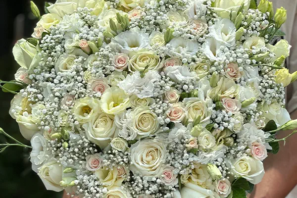 باکس گل رز سفید