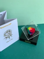 باکس چندوجهی رز جاودان هفت رنگ