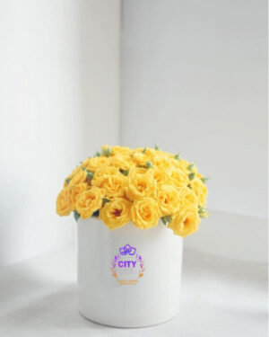 باکس گل رز زرد