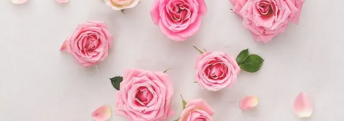 گل رز صورتی نشانه چیست؟