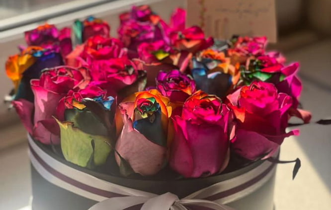 باکس رز رنگین کمانی