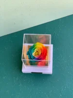 باکس پله ای رز جاودان هفت رنگ