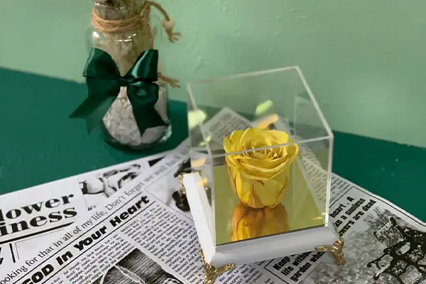 رز جاودان زرد