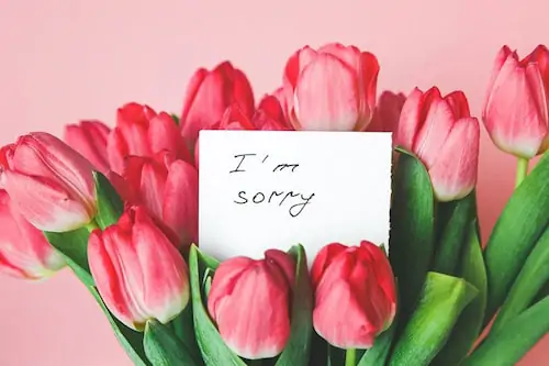بهترین گلهای معذرت خواهی