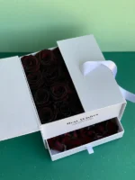 گل رز مشکی