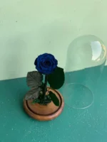باکس رز آبی جاودان