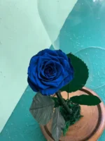باکس رز ابی جاودان