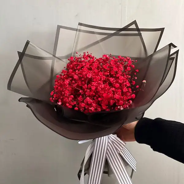 دسته گل ژیپسوفیلا قرمز