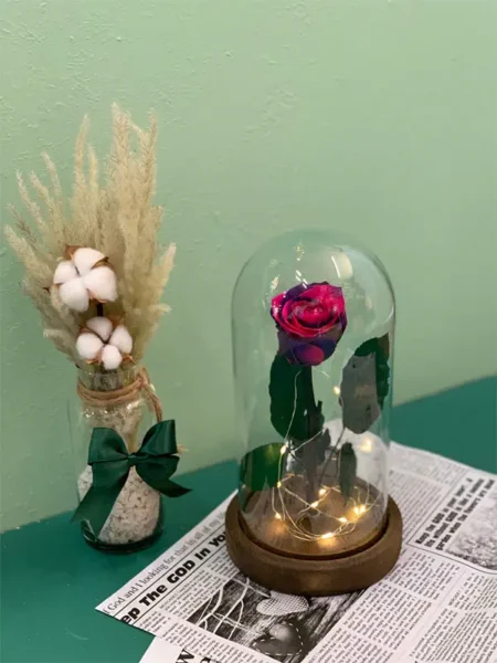گل رز جاودان بنفش صورتی