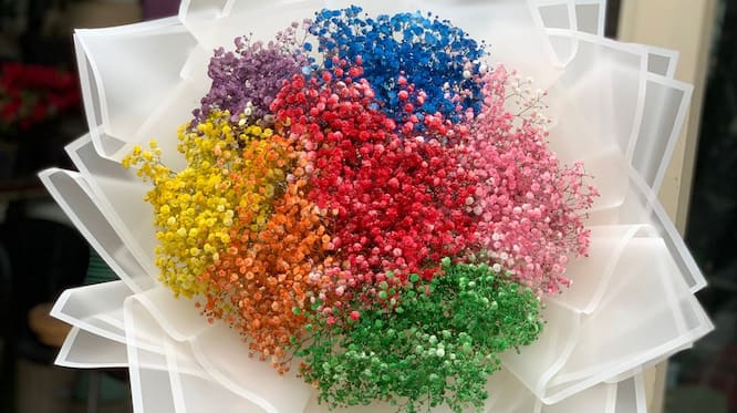 دسته گل ژیپسوفیلا رنگی