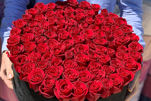 باکس گل صد شاخه رز قرمز