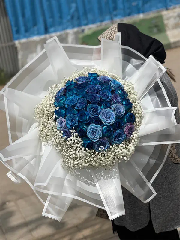 دسته گل رز ابی با گل عروس دسته گل رز آبی و عروس