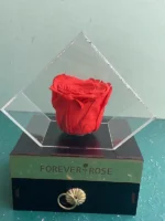 باکس رز نارنجی جاودان