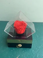 باکس کشویی رز جاودان نارنجی