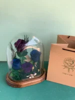 باکس گل جاودان
