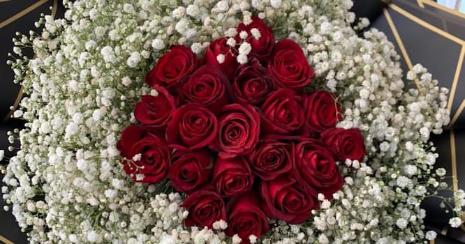 دسته گل رز قرمز