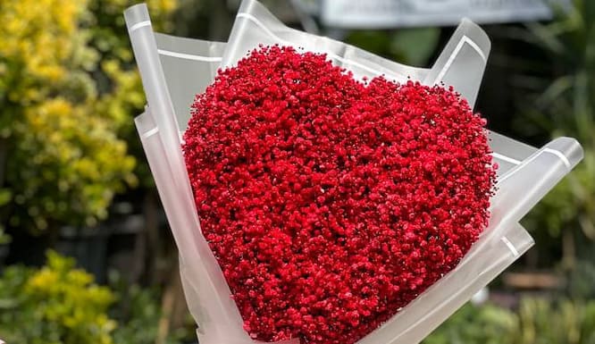 دسته گل قلبی ژیپسوفیلا