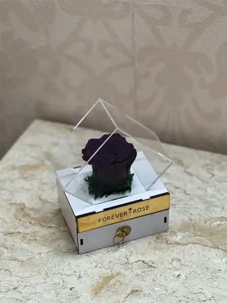 باکس رز جاودان بنفش