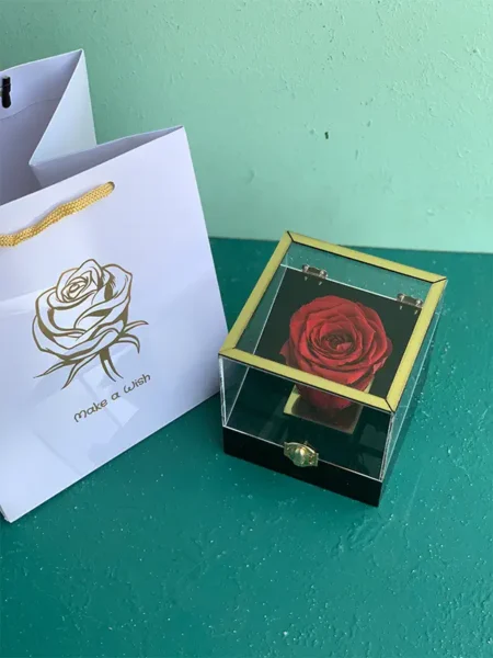 رز قرمز جاودان