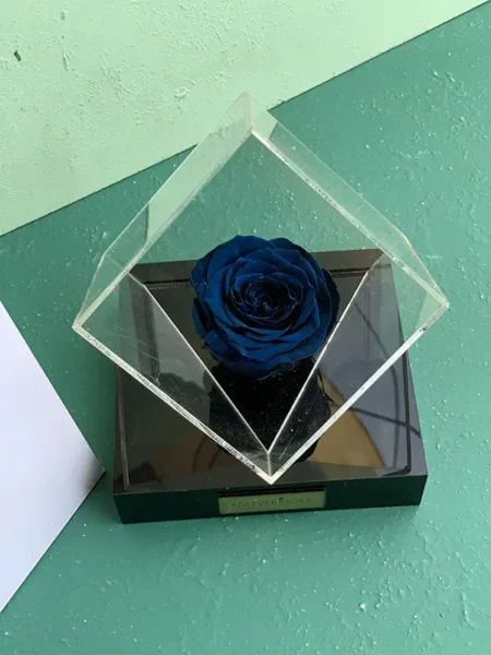 رز جاودان آبی