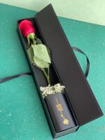 تک شاخه گل رز قرمز