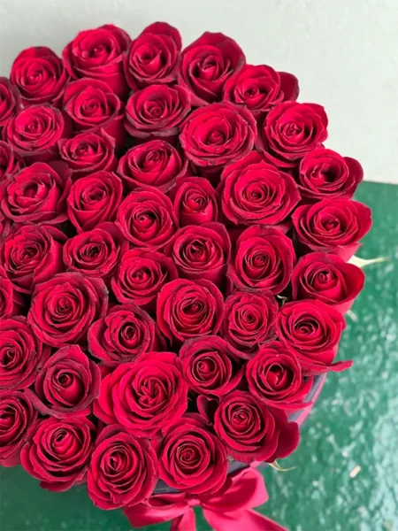 باکس رز قرمز